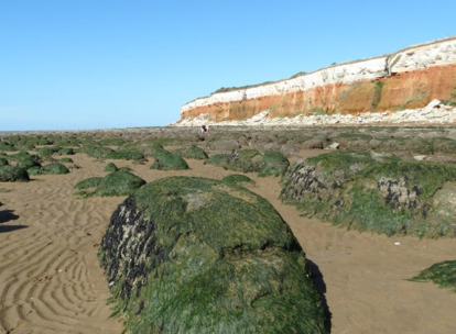 Klify na plaży w Hunstanton