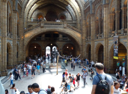 W Muzeum Historii Naturalnej w Londynie