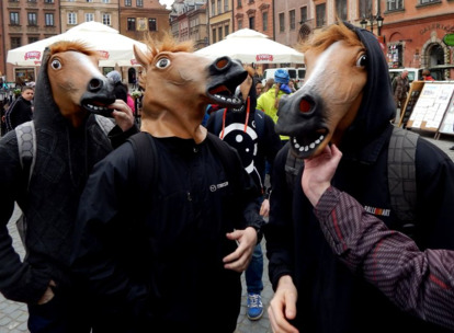 Horse face
